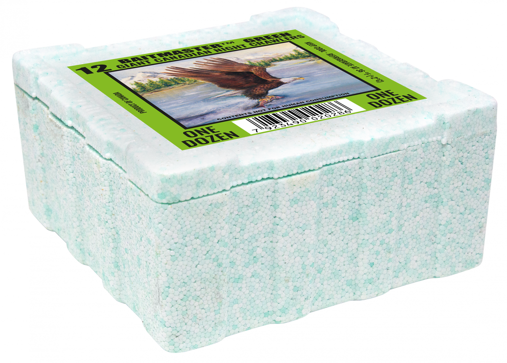 Dauwpieren Groen Fluo 12 stuks