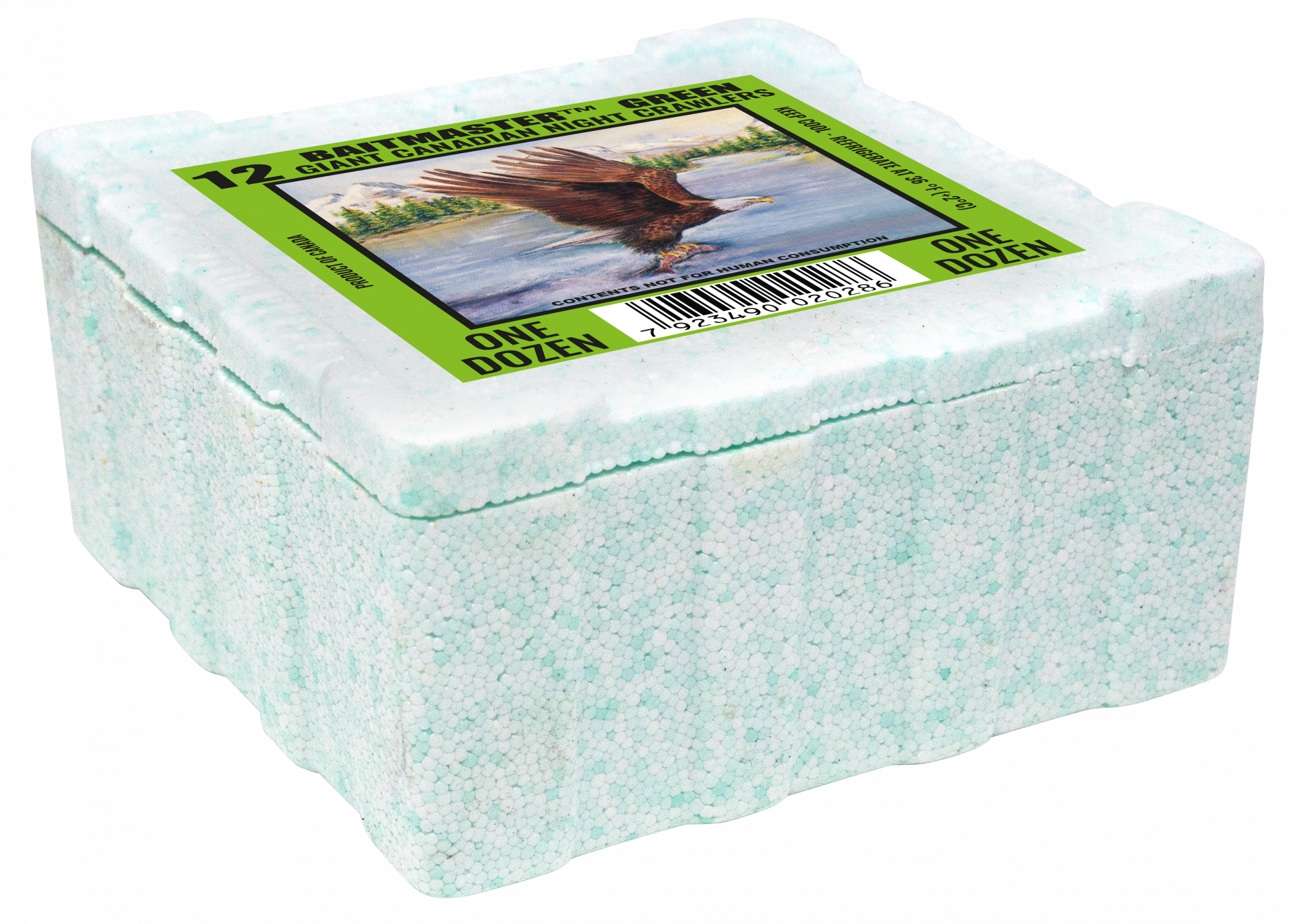 Dauwpieren Groen Fluo 12 stuks