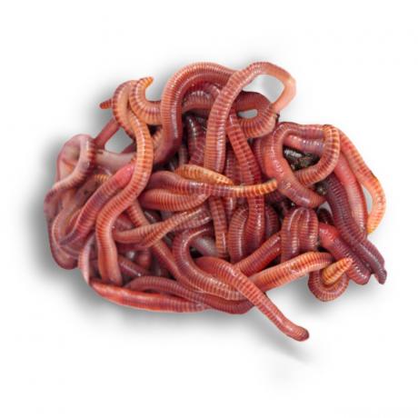 Mixwormen (3 opties)