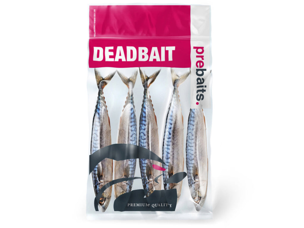 Makreel Klein 17-25CM 5-7ST