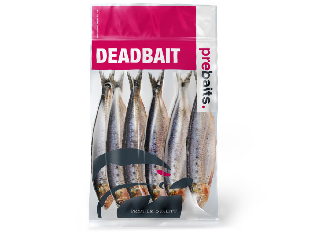 Sardines Groot 15-23cm 4-8st