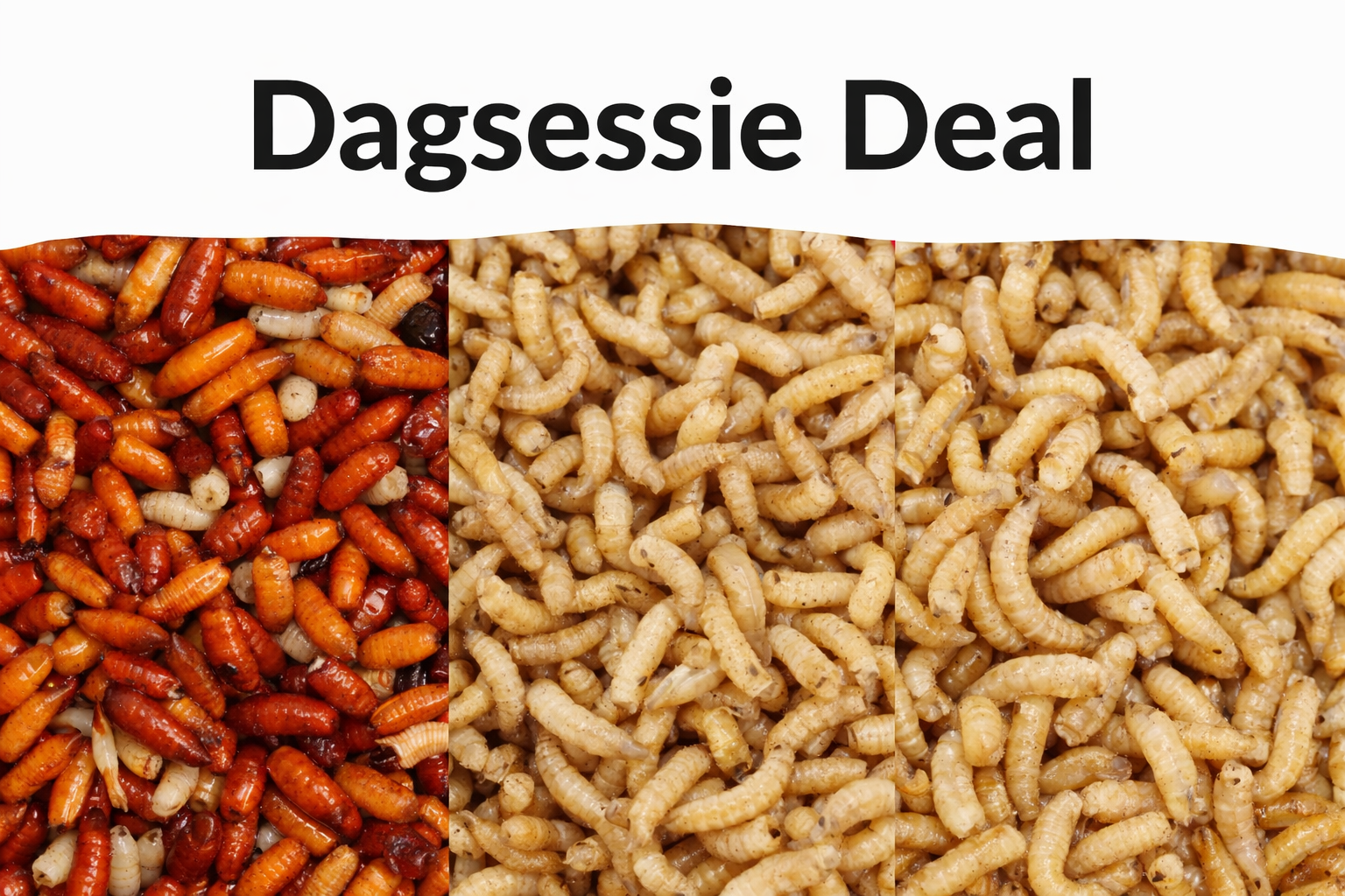 Dagsessie Maden Combi Deal